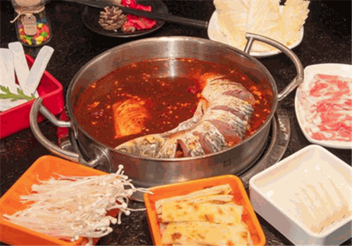 【四同活魚鍋】餐飲管理 從鮮活到火鍋的品質之旅