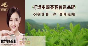 多元化經營，打造茶產業全鏈條——公司業務介紹